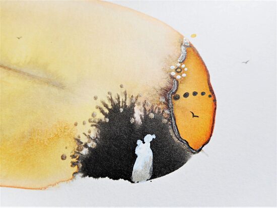 PLUME .6